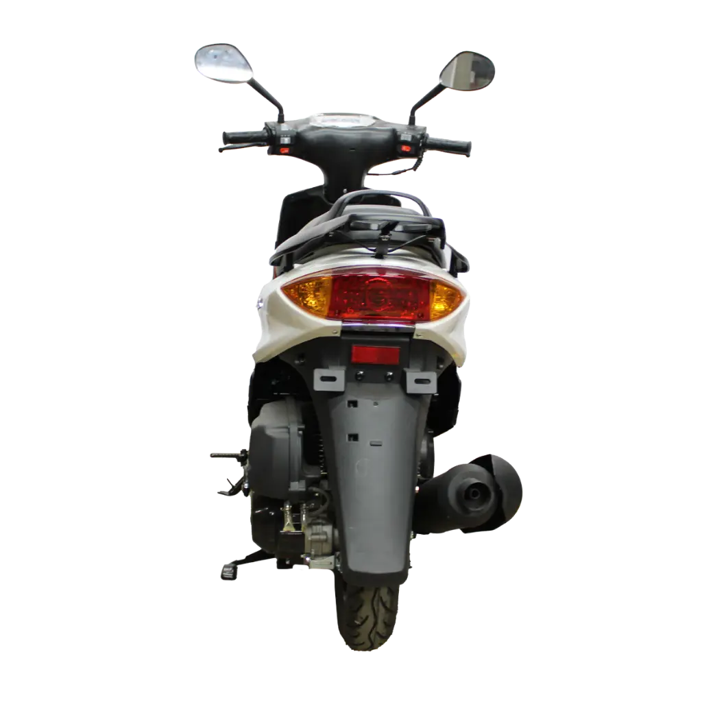 zk1254.webp