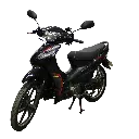 surf125.webp