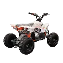 MADIX50b6.webp