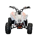 MADIX50b1.webp