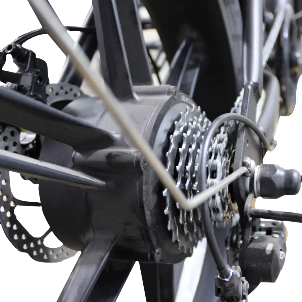 DETALLE_CADENA.webp